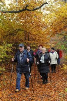 Powiatowy marsz Nordic Walking w Bydlinie