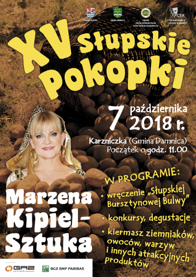 Pokopki 2018 - Plakat 420x594 - NET